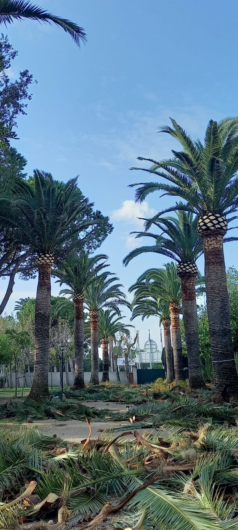 Trabajos