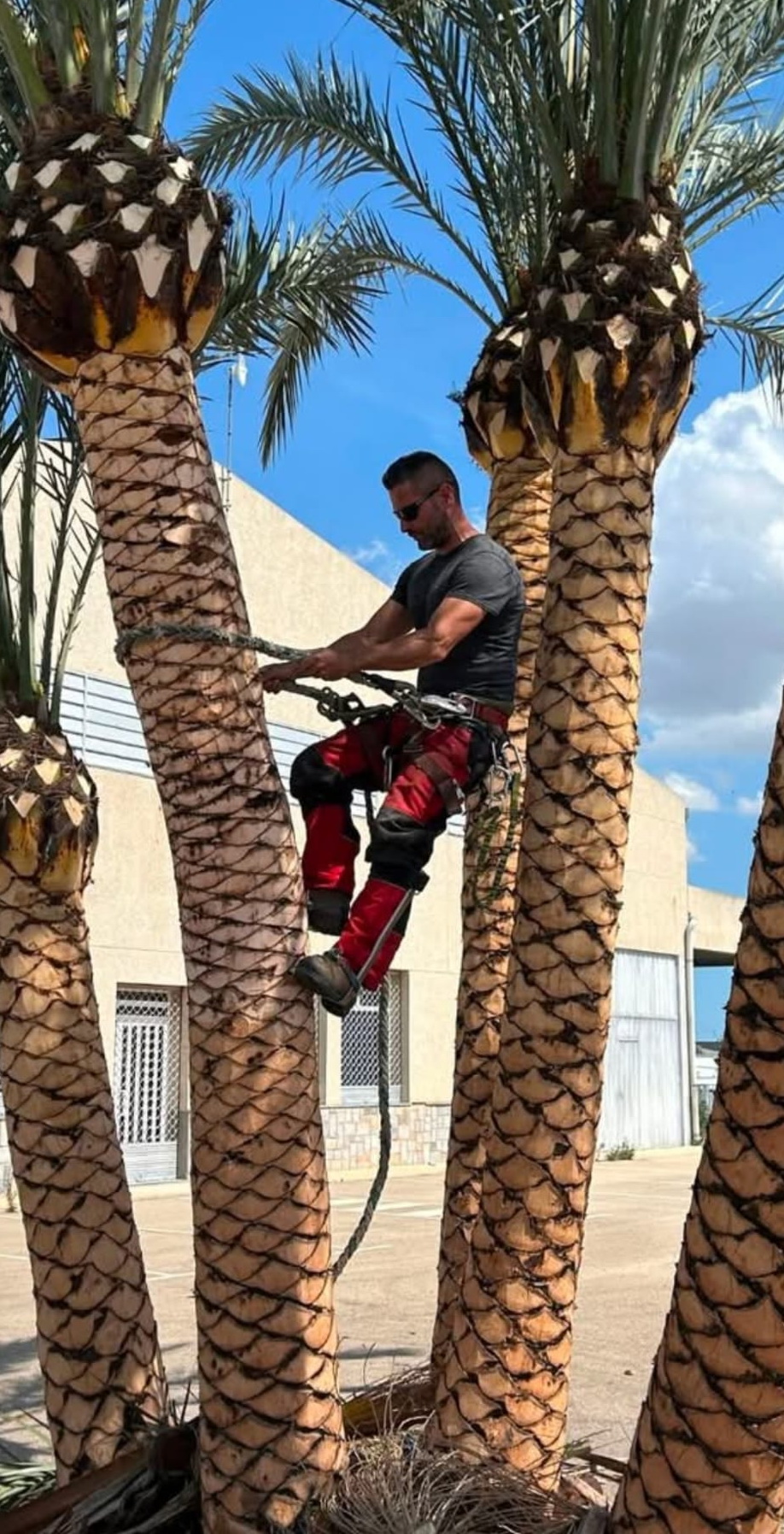 Trabajos